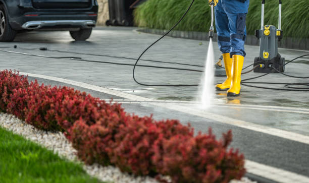Best Vinyl Siding Pressure Washing in Marysville, CA